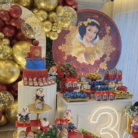 snow white backdrop princess party decoration
