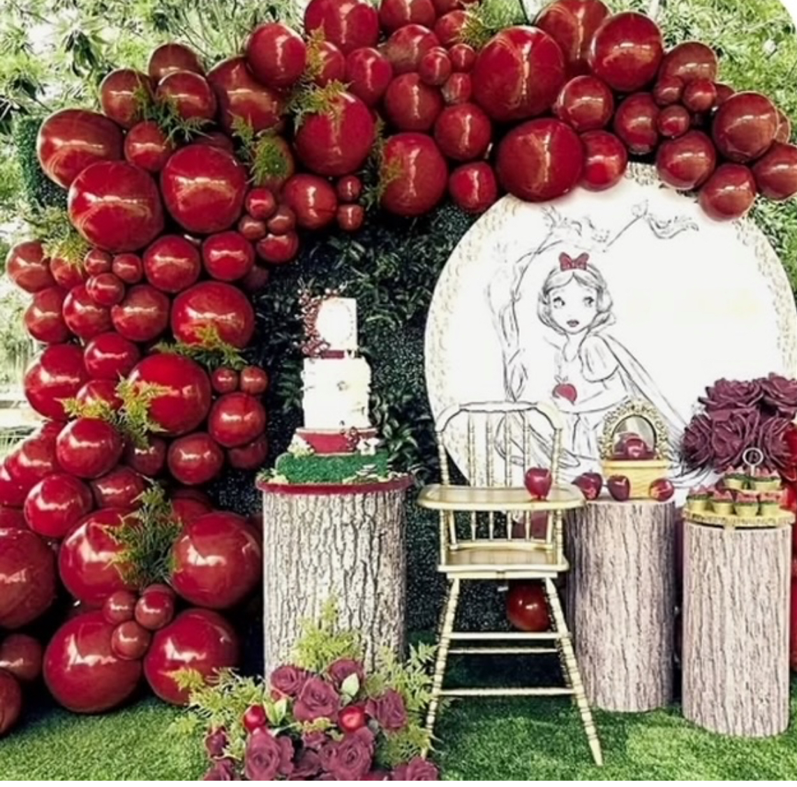 snow white backdrop princess party apple display
