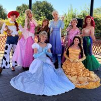 hampshire princess parade header snow princess parties disney princess parade